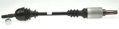 [LOBR 301925] CARDAN-G*AX /106 NM*-059206495-