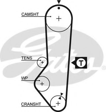 Cour DISt- ESCORT