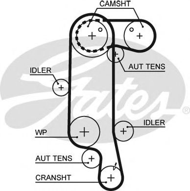 Cour Dis GOLF4 -ES 130D-5517XS