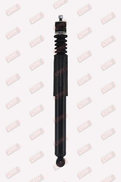 AMOR-AR CORSA(154935***)