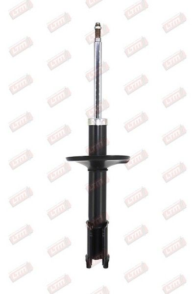 AMOR-AV CLIO(104004/545196G)