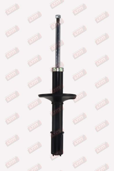AMOR-AV SUP R5/EXP(544945G)