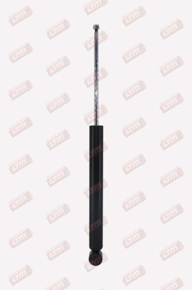 [D22539] Amor-AR POLO 5-6